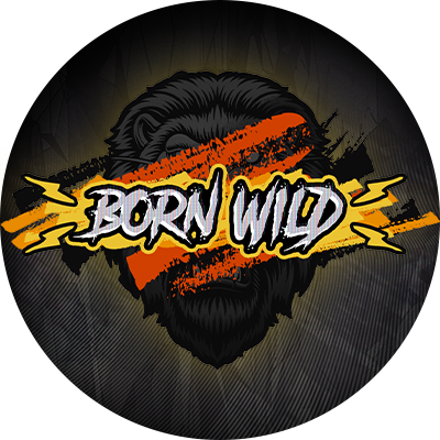 CRM-Game-Roundel-01-BornWild-400x400