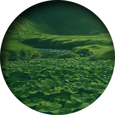 IrishGameTile