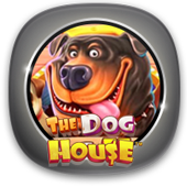 the-dog-house